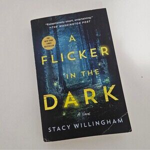A Flicker in the Dark By Stacy Willingham Novel Book Mystery Thriller Crime